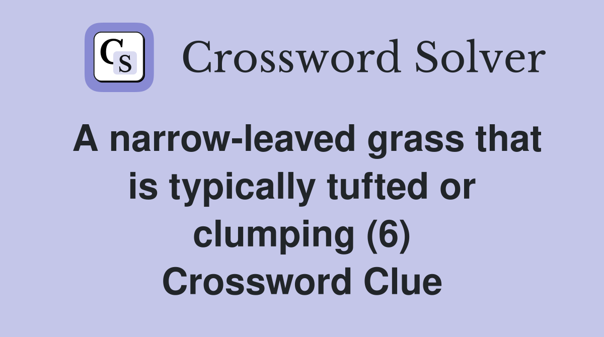 A narrow leaved grass that is typically tufted or clumping 6